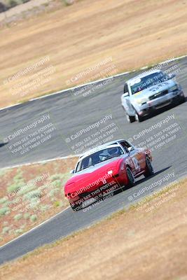 media/May-06-2023-Lucky Dog Racing (Sat) [[8f2256f436]]/Turn 2 10a/